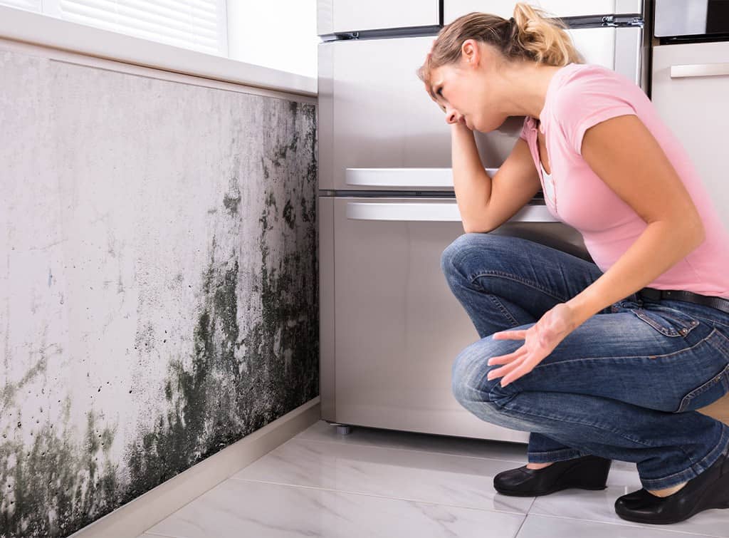 Mold Removal in Oak Brook, Illinois (3019)