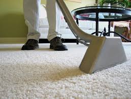 Carpet Cleaning in Yorkville, Illinois (744)