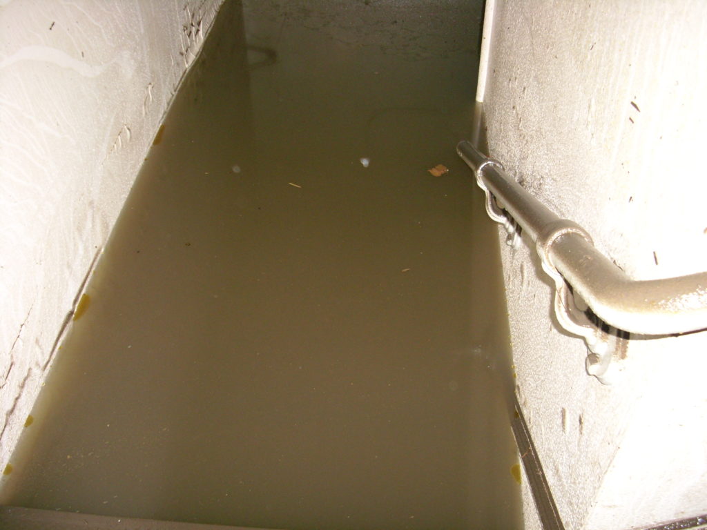 Water Damage Restoration in Bensenville, Illinois (4776)