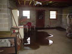 Flood Cleanup in Westmont, Illinois (8772)